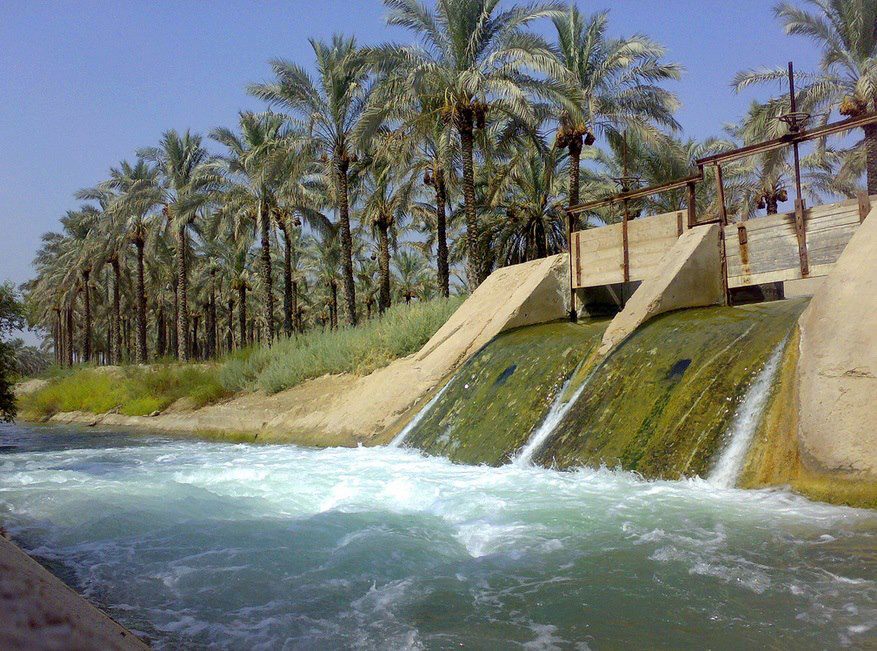 تعيين آب مورد نياز خرما با آبياری قطره ای در استان بوشهر